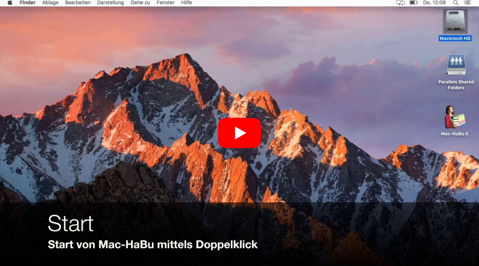 Video Video abspielen